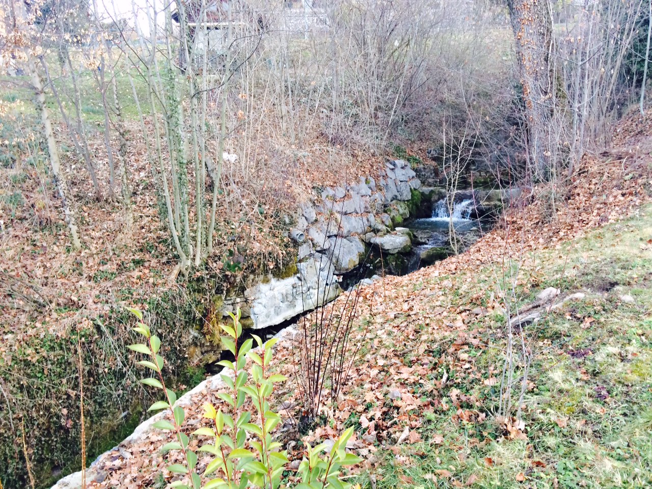 Le Canton de Vaud est au chevet des cours d’eau du bassin versant de l’Ognonnaz